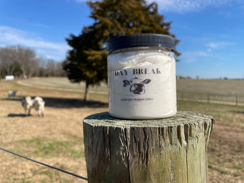 Day Break - Tallow Whip Scrub